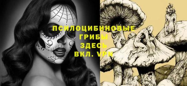 МДПВ Кодинск