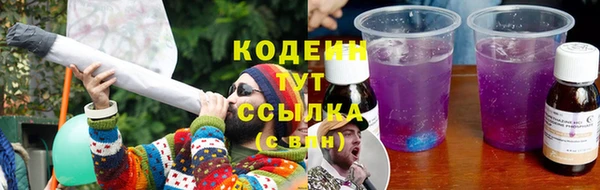 шишки Козельск