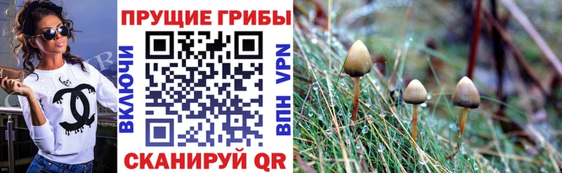 Псилоцибиновые грибы MAGIC MUSHROOMS  хочу   Данилов 
